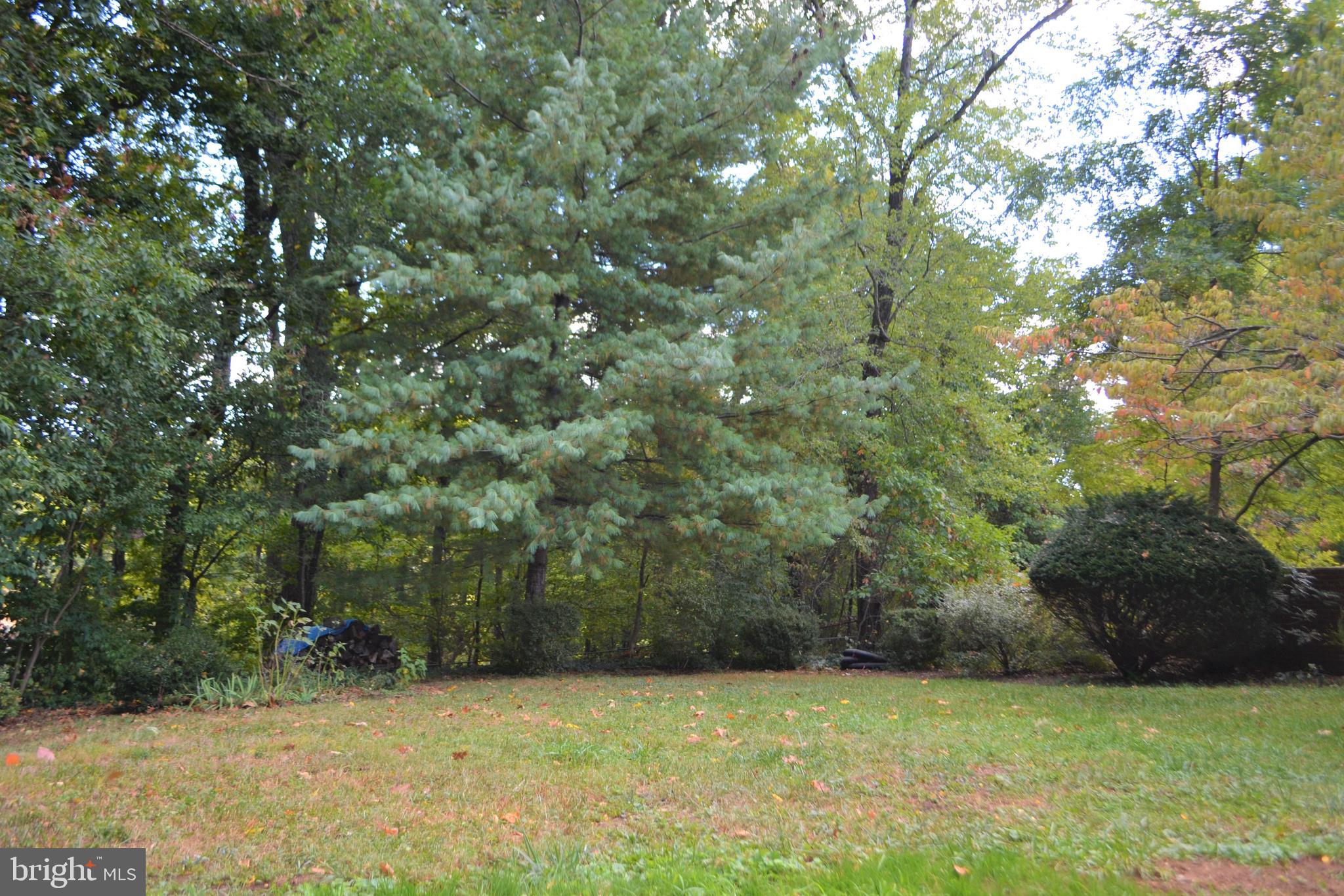 BARCROFT HILLS - Residential Lease