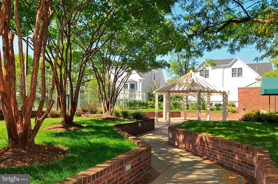 DOWNTOWN BETHESDA - Residential