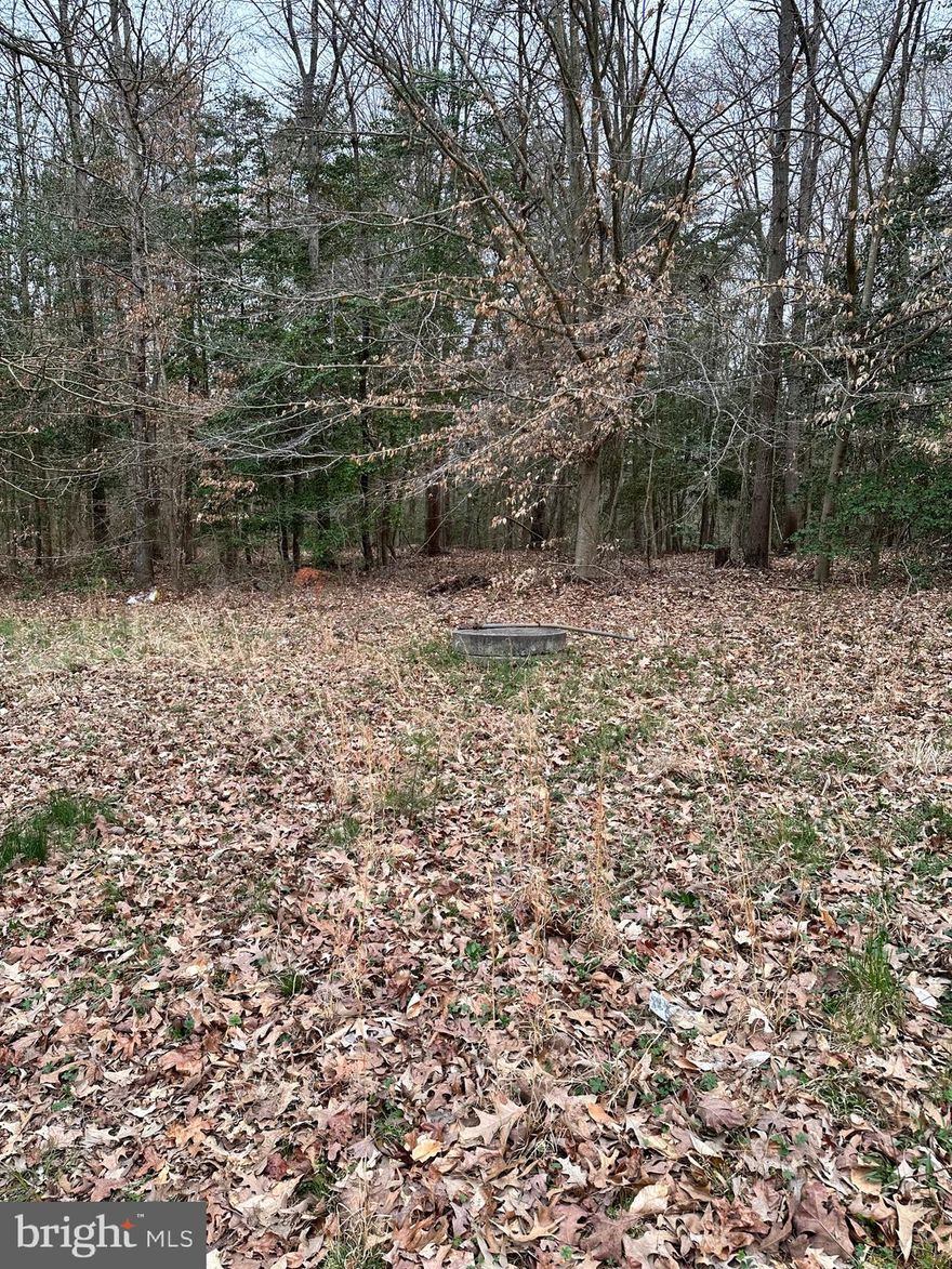 1.34 acres of privacy but conviently located near 301. Previous home on this lot had well & septic. Buy land they aren't making anymore!!