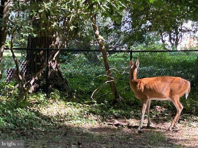 SUDBROOK PARK/PIKESVILLE - Residential Income