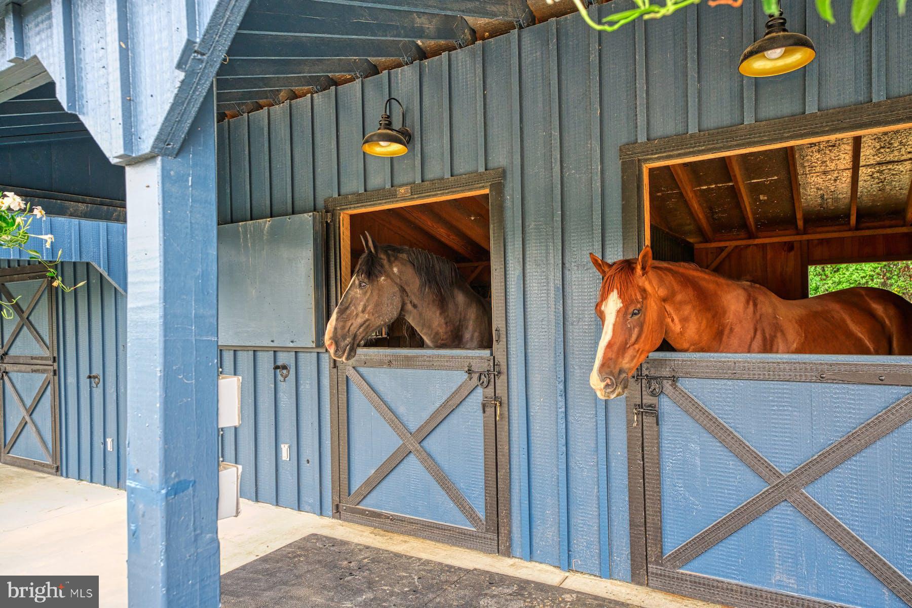 BLOOMFIELD - Residential