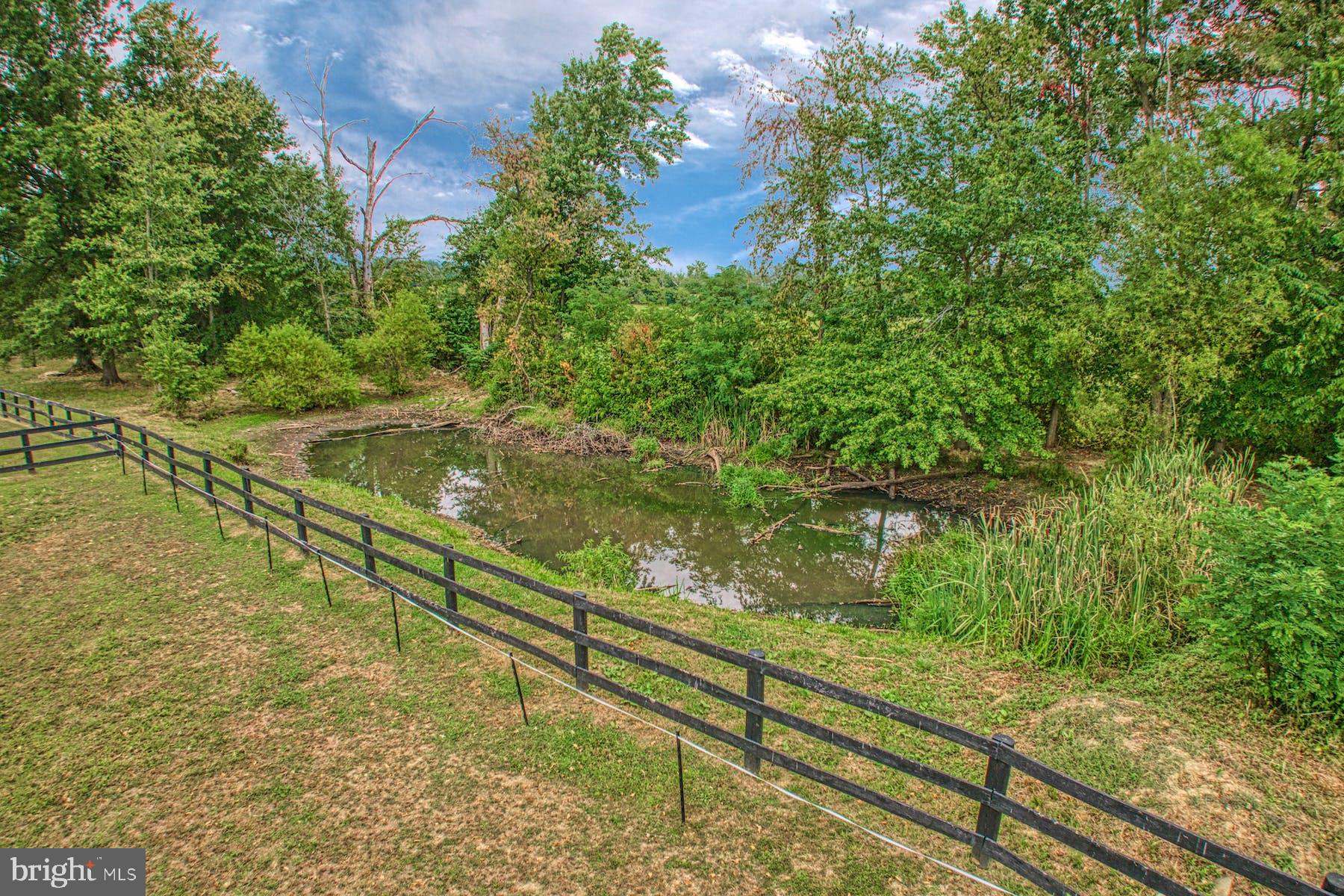 BLOOMFIELD - Residential