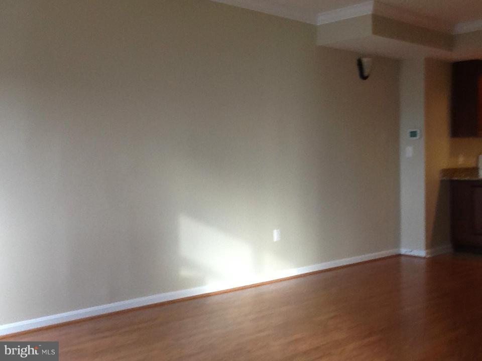 PENTHOUSE - Residential Lease