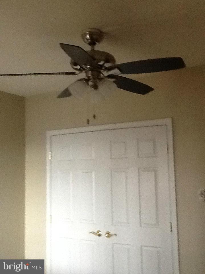 PENTHOUSE - Residential Lease