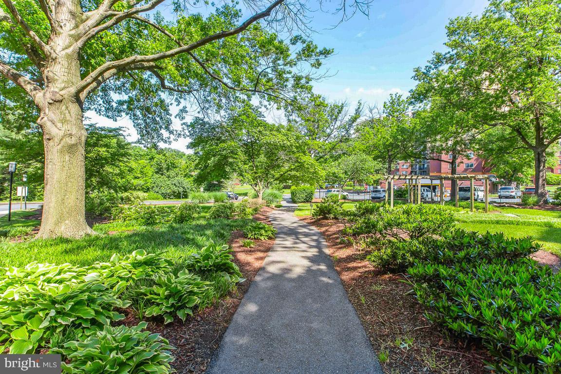 TAKOMA PARK - Residential