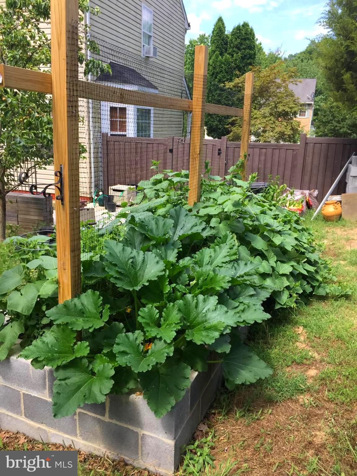 POTOMAC WOODS PLAT 1> - Residential