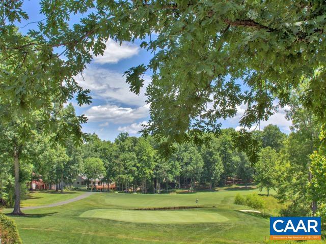 LAKE MONTICELLO - Residential