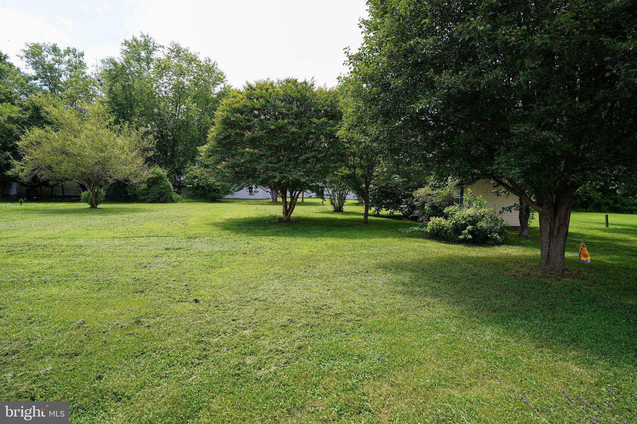 KING WILLIAMS COURT - Residential