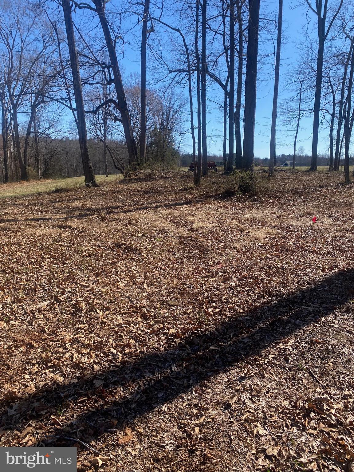 MOUNTAIN VIEW - Land