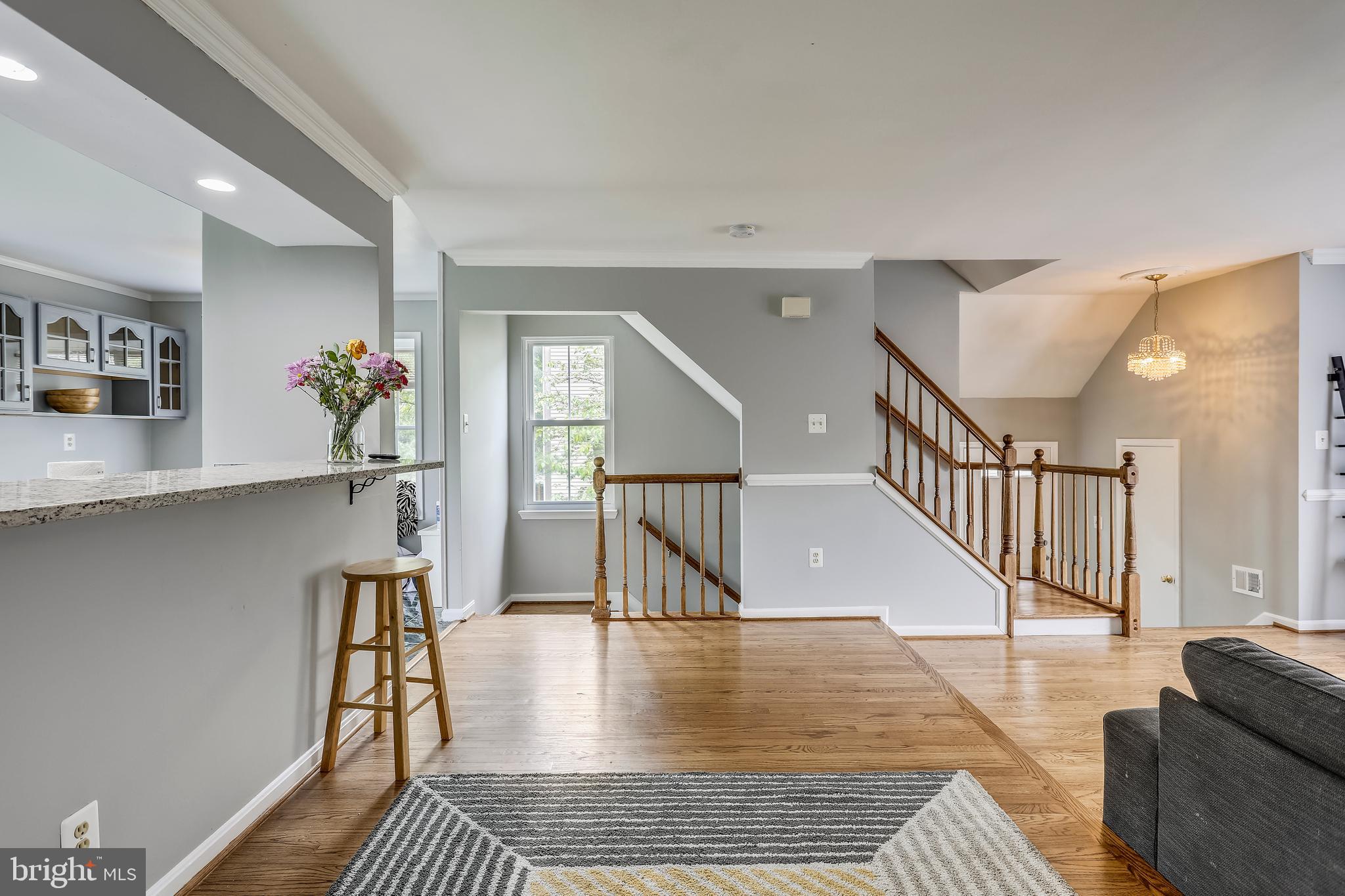 WILLIAMSBURG VILLAGE - Residential