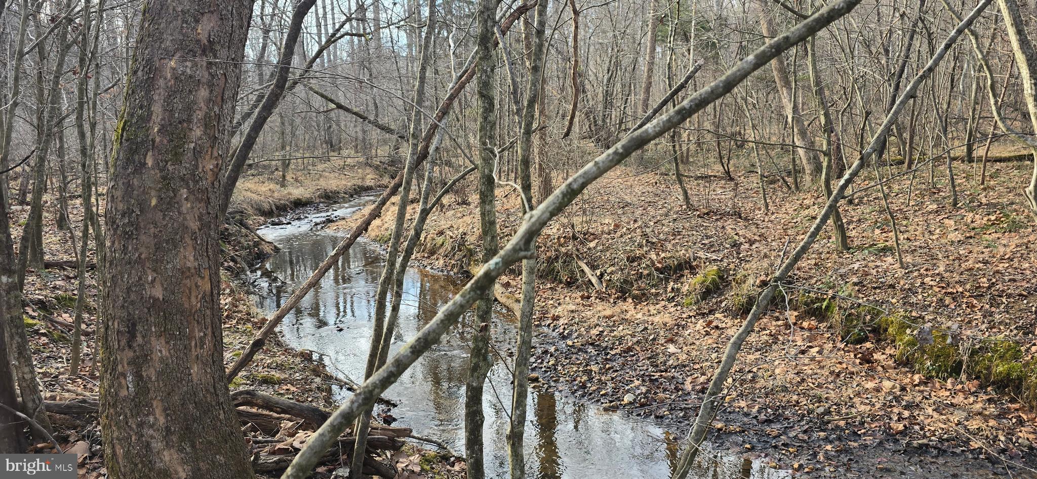 NONE AVAILABLE - Land