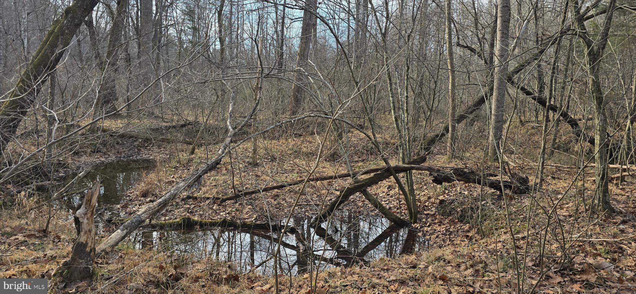 NONE AVAILABLE - Land