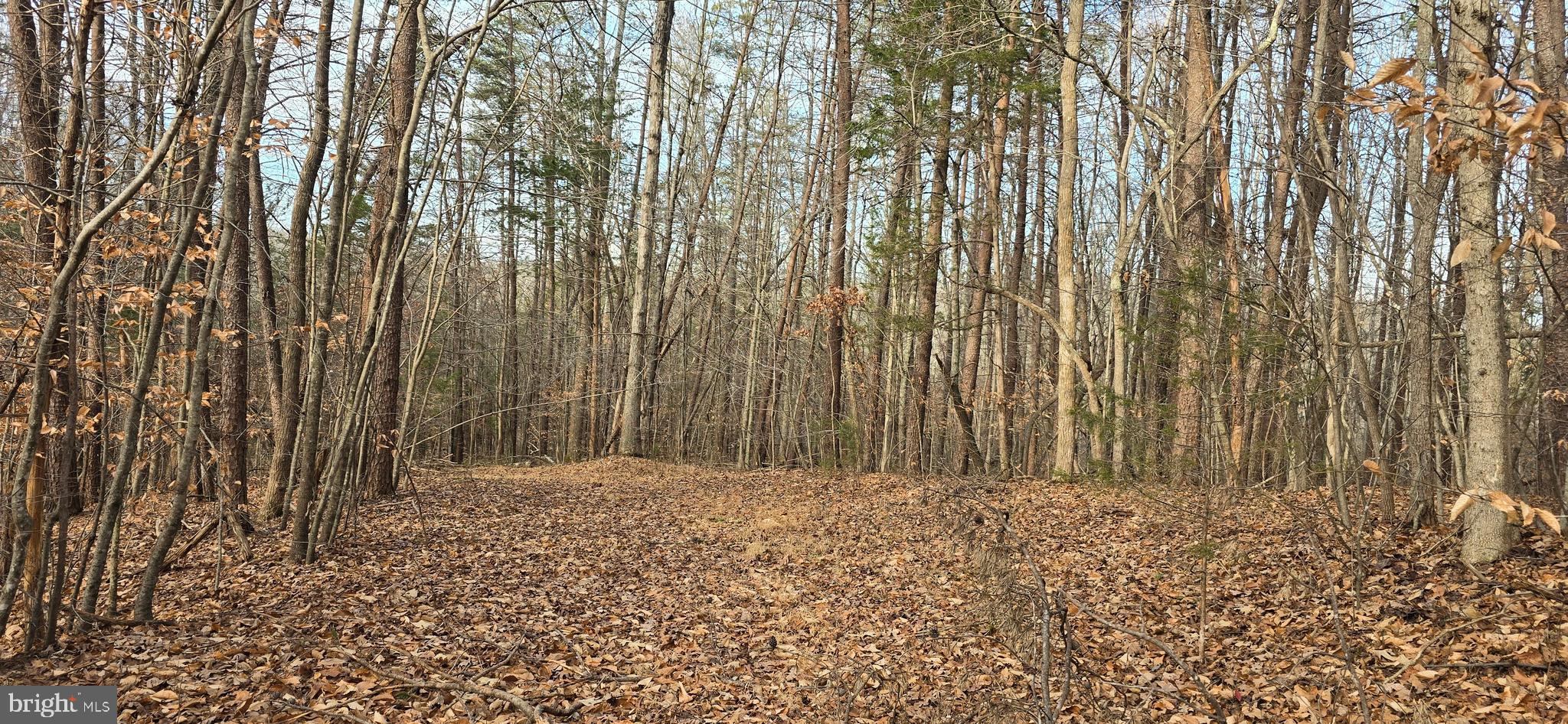 NONE AVAILABLE - Land