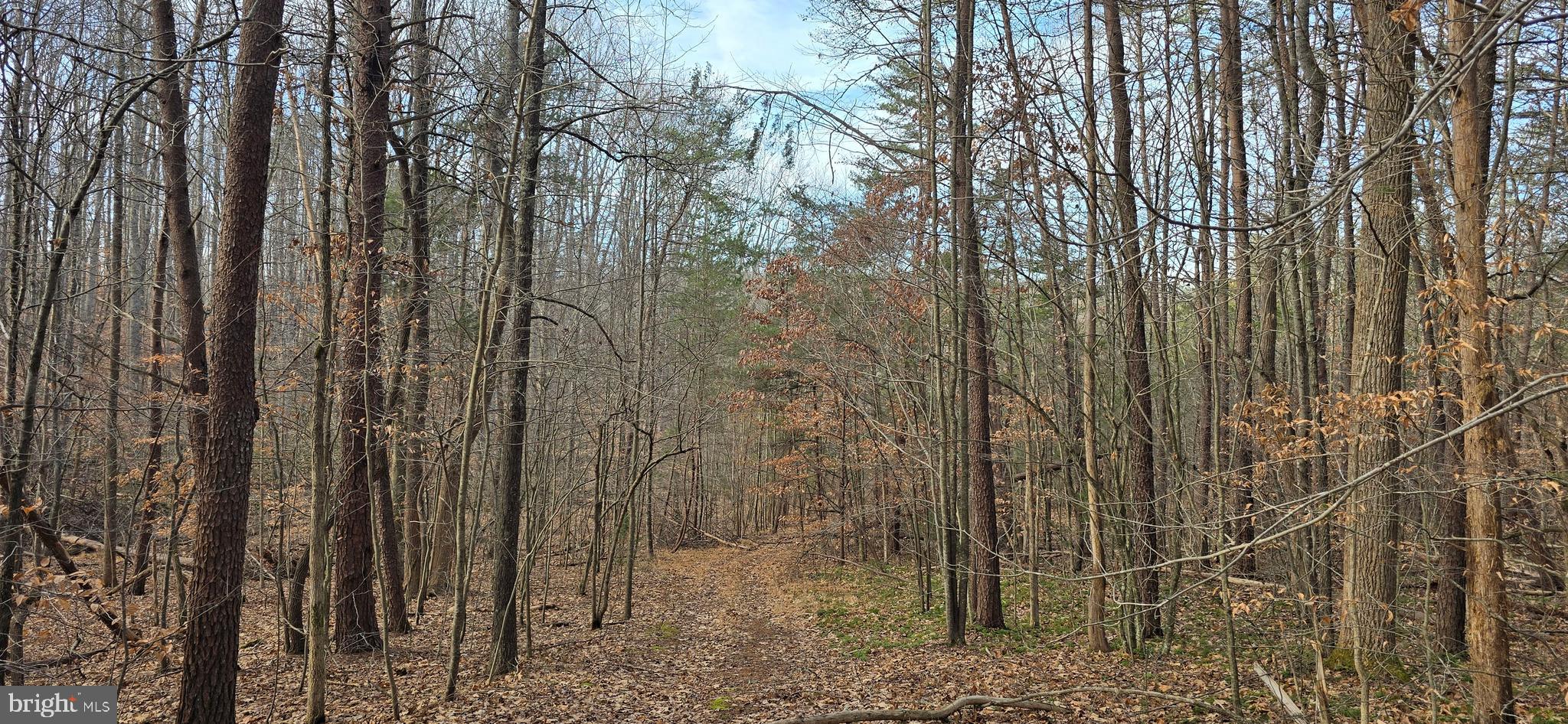 NONE AVAILABLE - Land