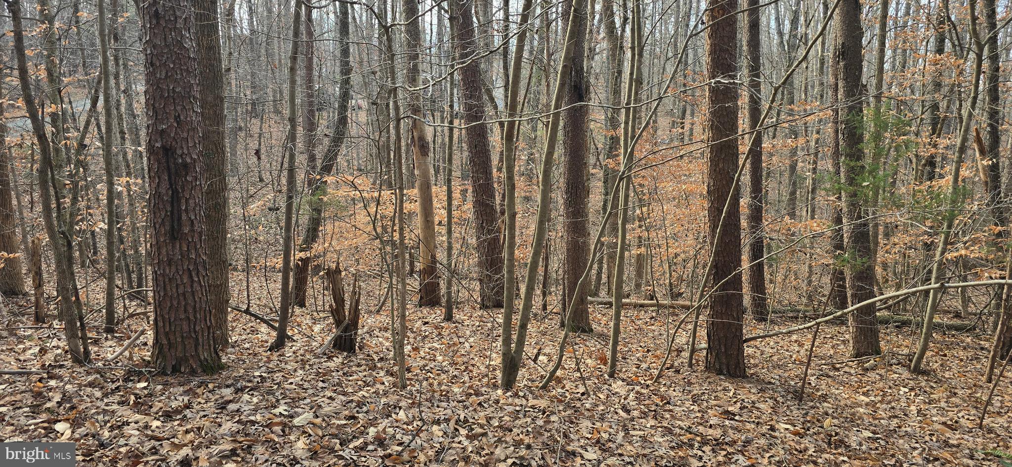 NONE AVAILABLE - Land