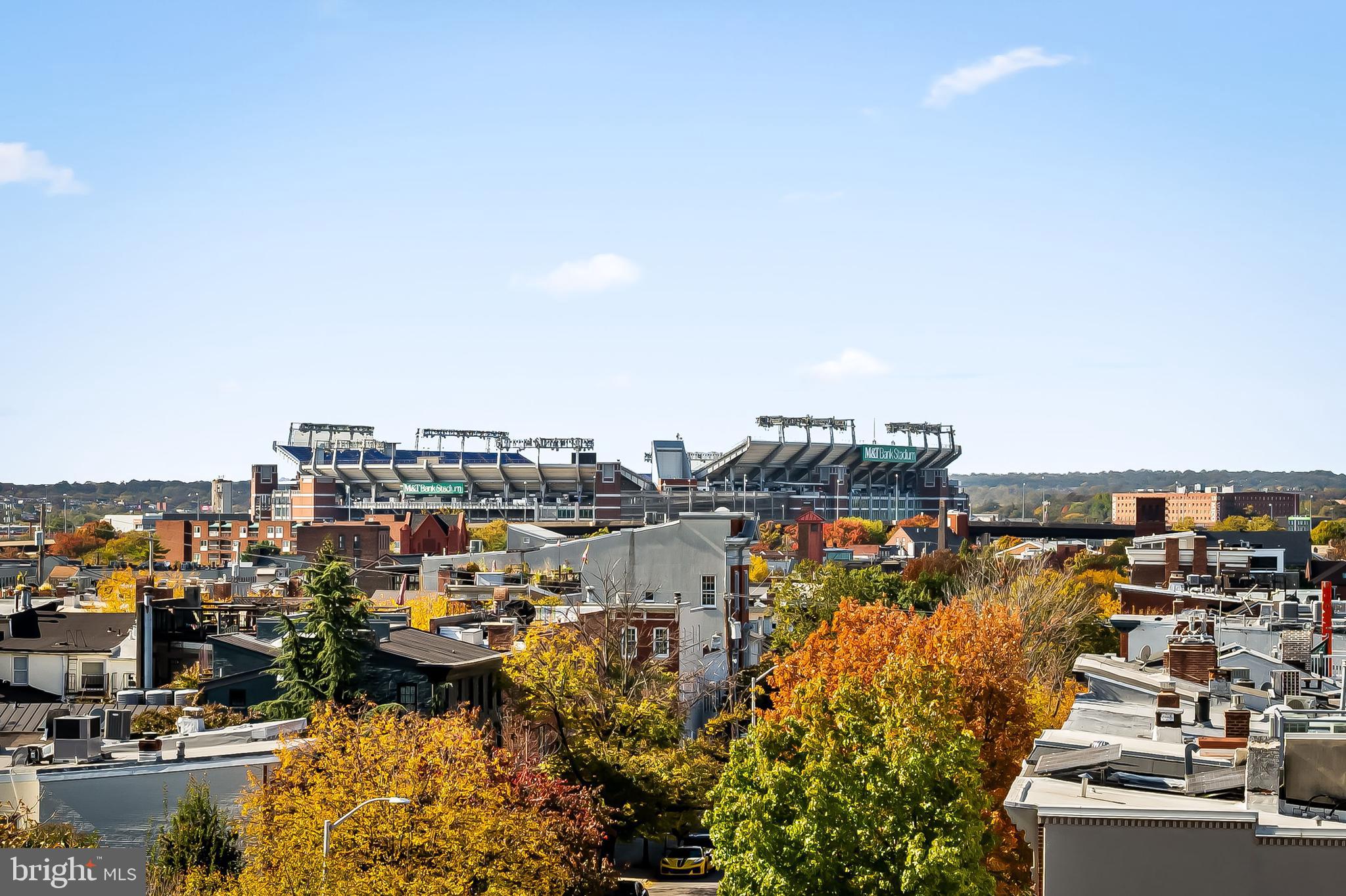FEDERAL HILL HISTORIC DISTRICT - Residential Income