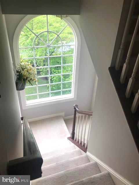 RIVER CREEK - Residential Lease