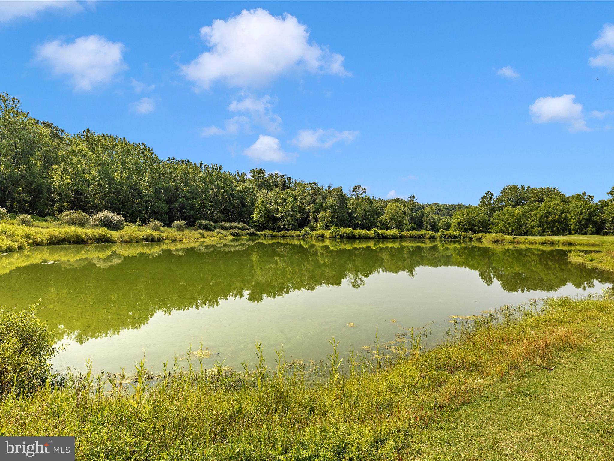 RIVER DOWNS - Residential