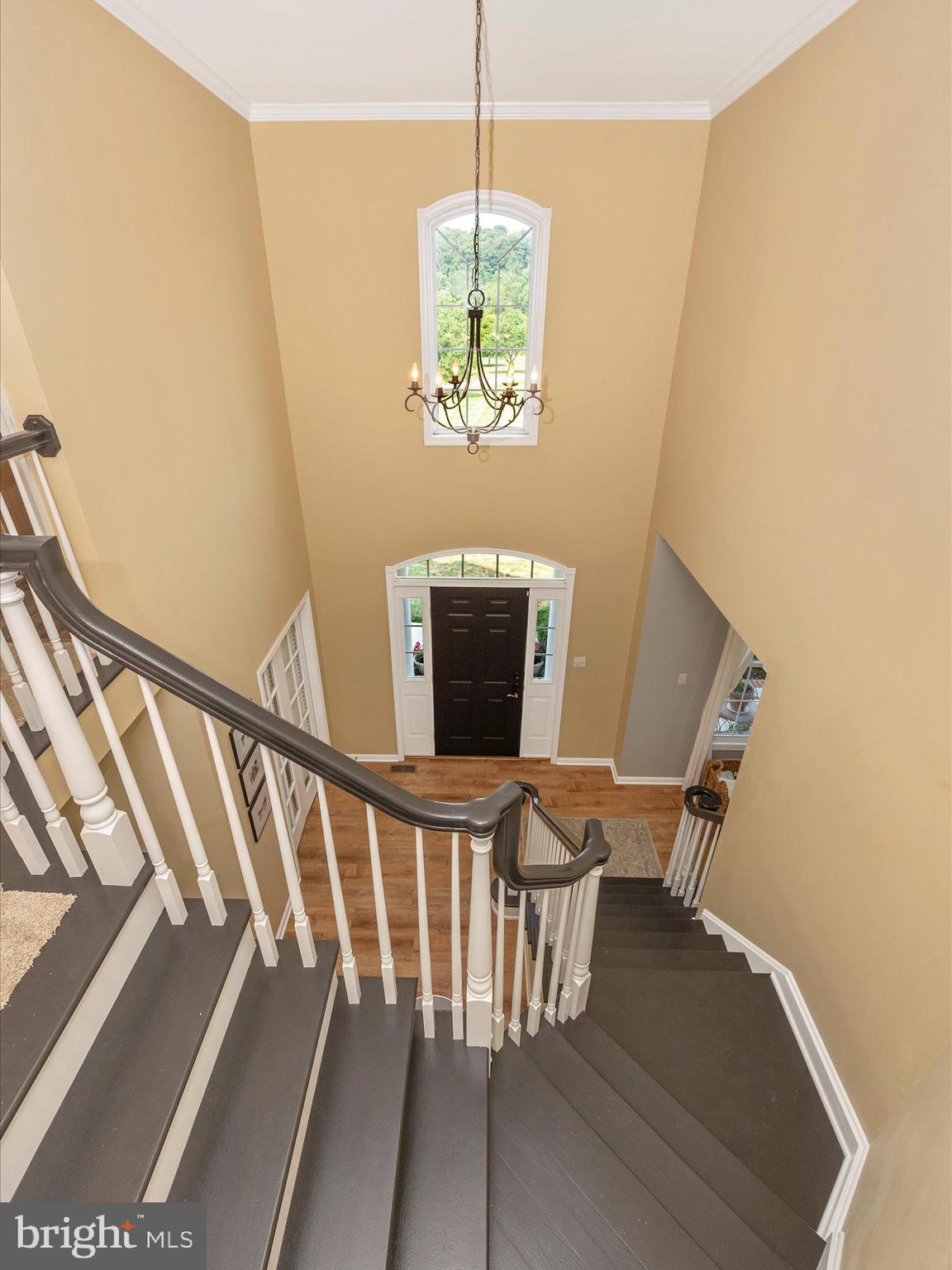 RIVER DOWNS - Residential