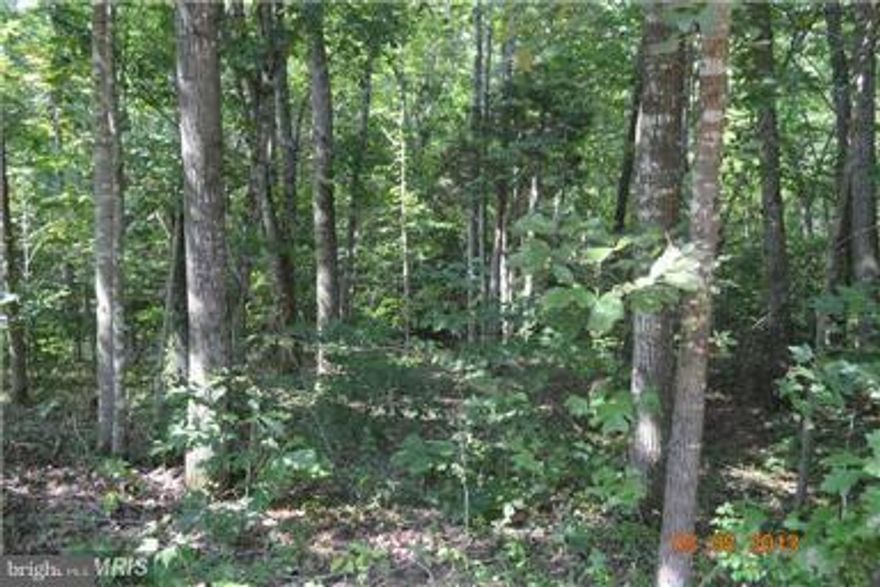 Come build your vacation home or main residence on 41 beautiful acres.  It's just waiting for someone to grab it and turn their dreams into reality.  It has many enhancements including a septic system, under ground electricity, phone, several  streams, well water. several outbuildings, a mobile trailer with screened-in porch and plenty of privacy just waiting for you to enjoy.   The possibilities are endless.  Property consists of  standing timber with hardwoods and cleared acreage