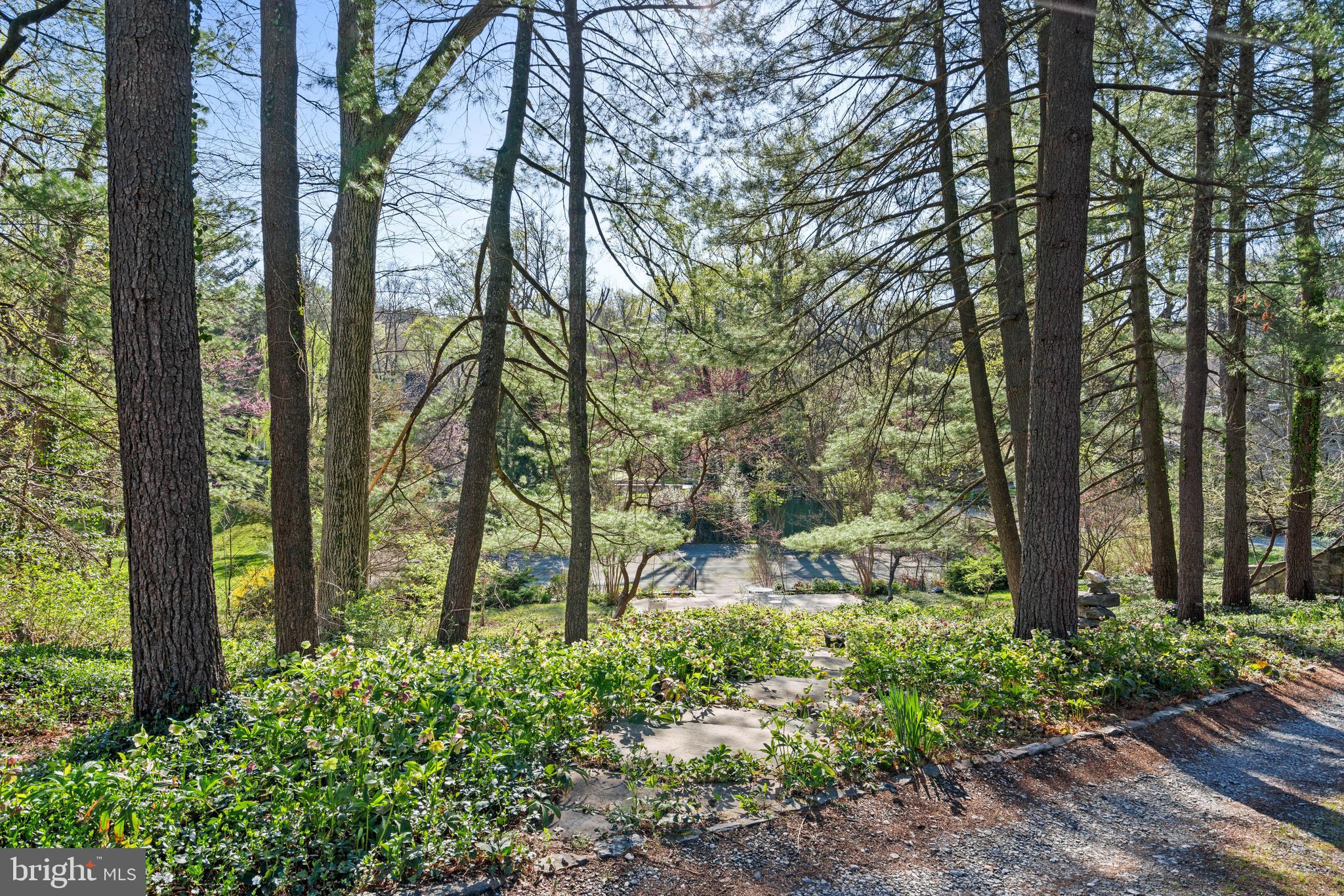 FOREST HILLS - Residential