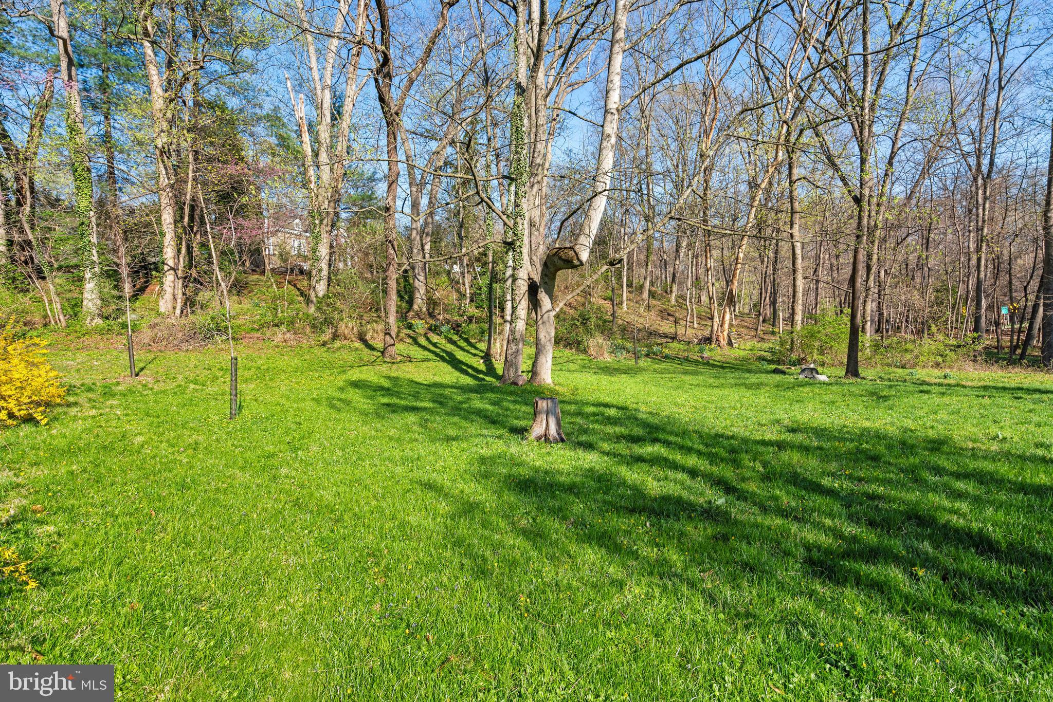FOREST HILLS - Residential