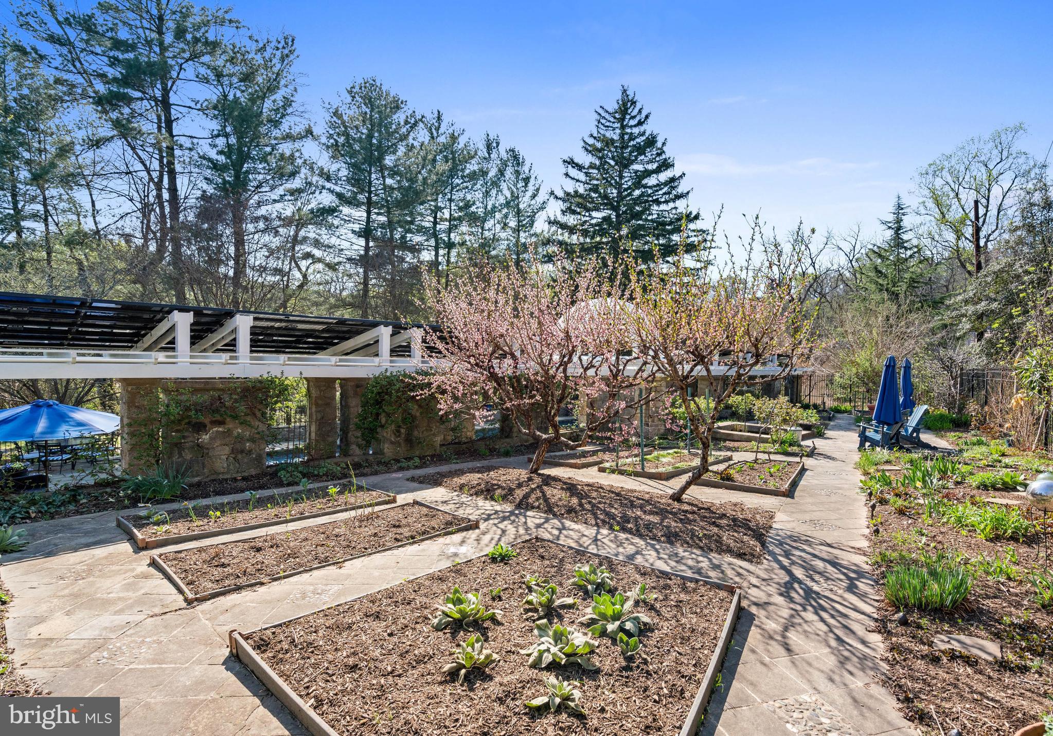 FOREST HILLS - Residential
