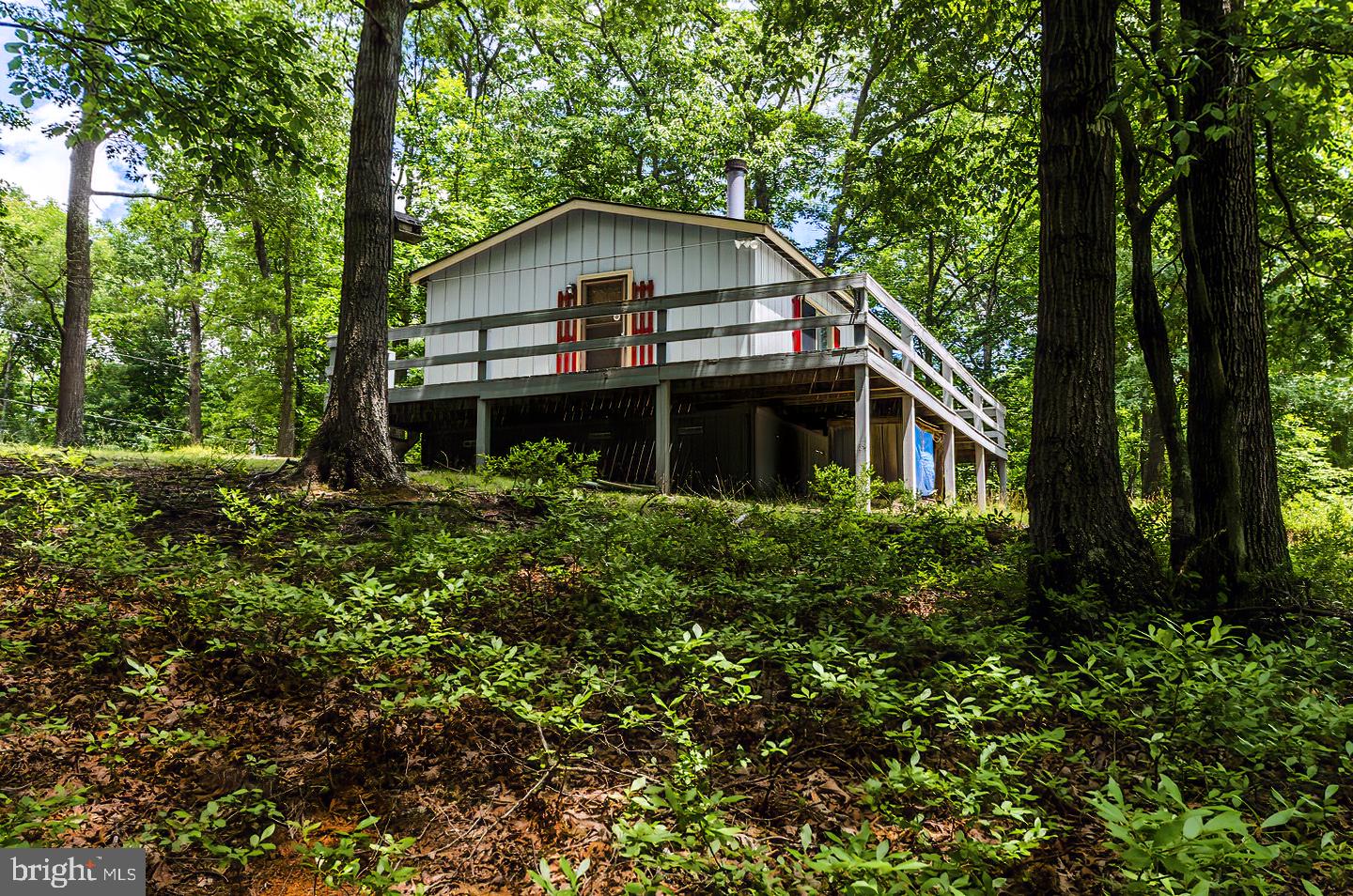 CACAPON RIVER RAPIDS - Residential
