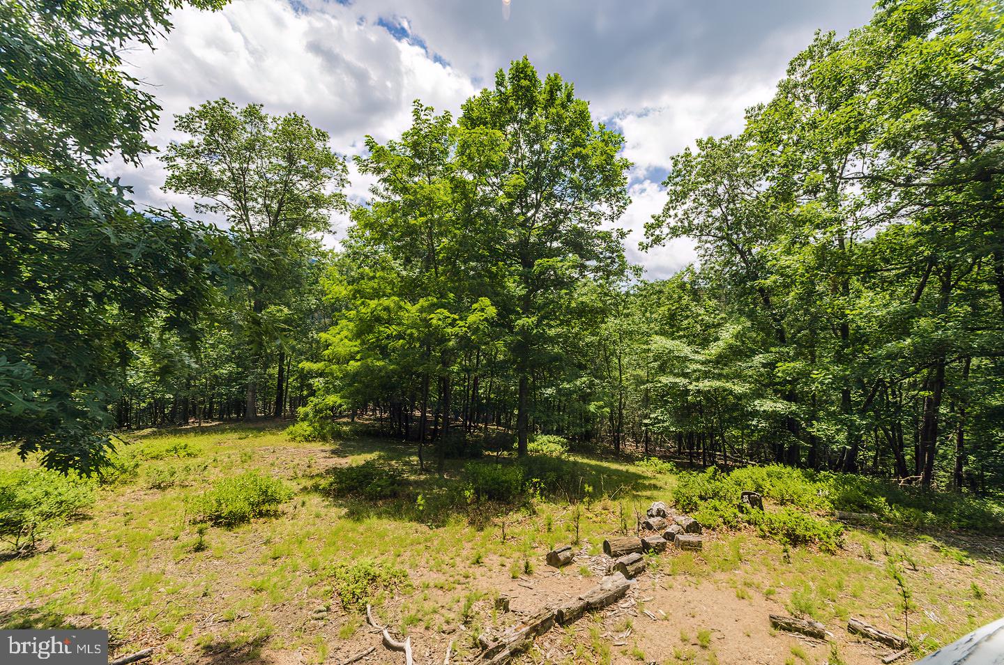 CACAPON RIVER RAPIDS - Residential