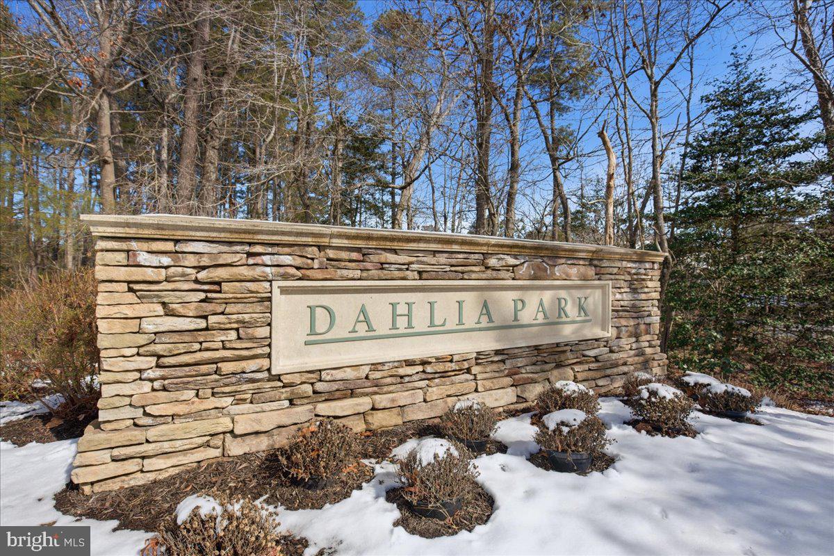 DAHLIA PARK OF WILDEWOOD - Residential