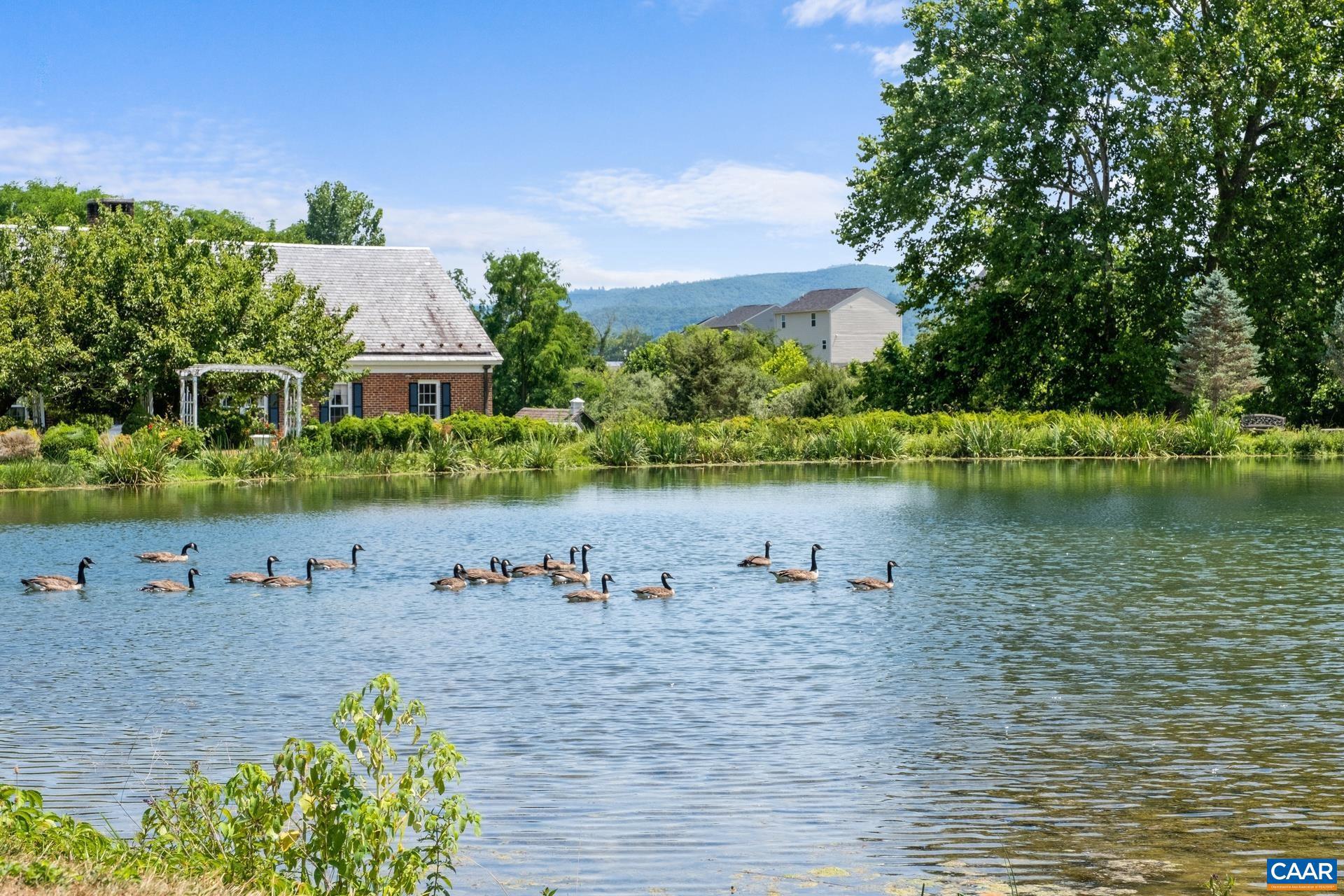 CLAYBROOK - Residential