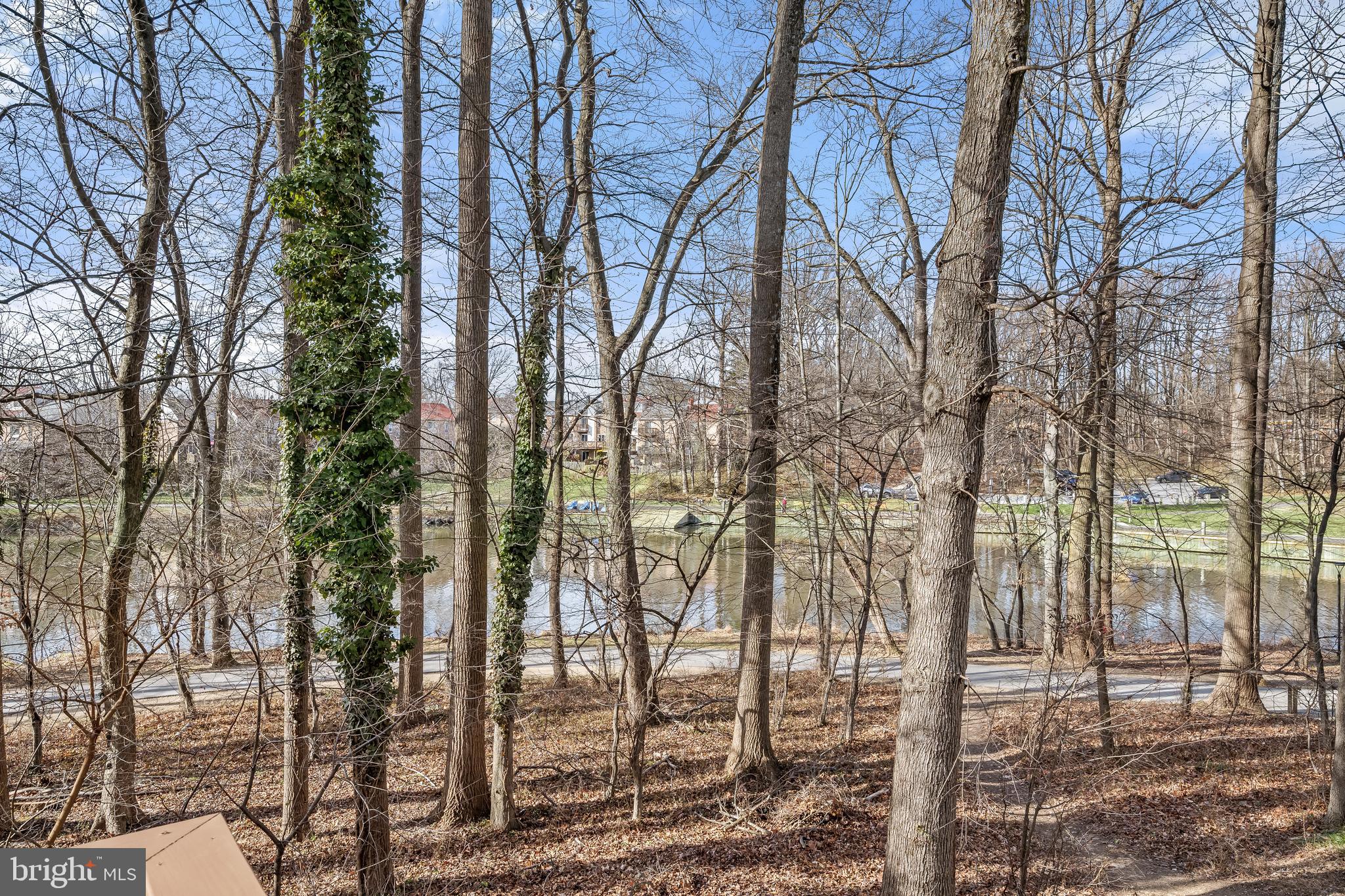 VILLAGE OF OWEN BROWN - Residential