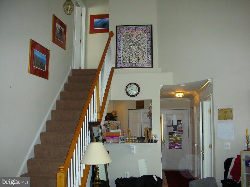 COURTHOUSE HILL - Residential Lease