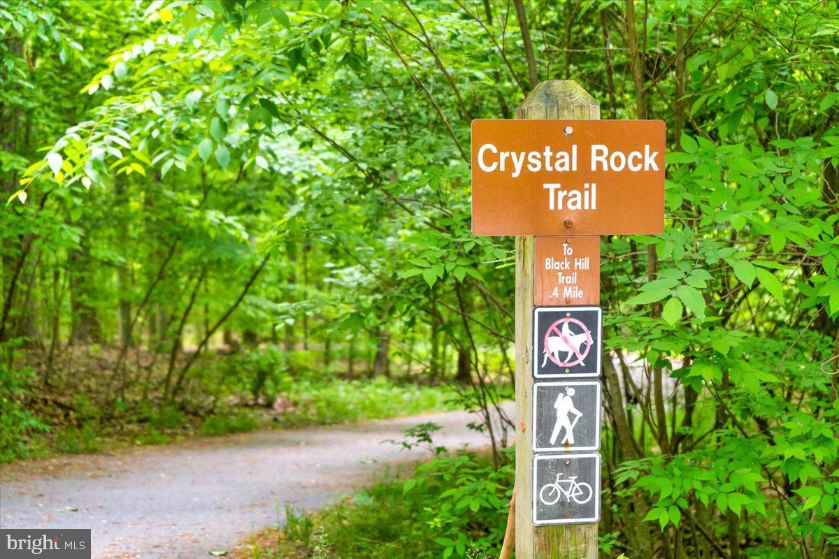 BLUNT COMMONS - Residential