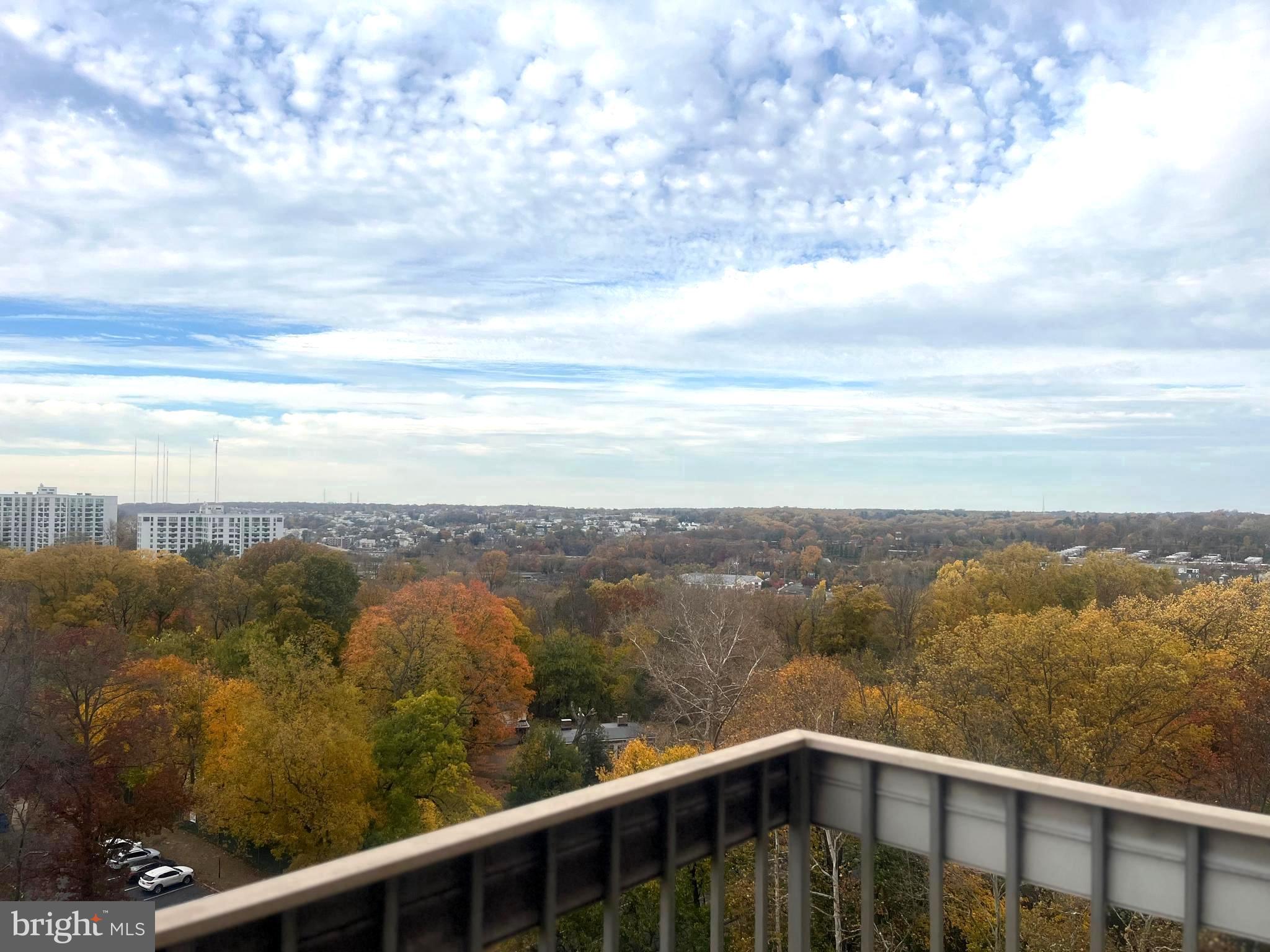 WYNNEFIELD - Residential