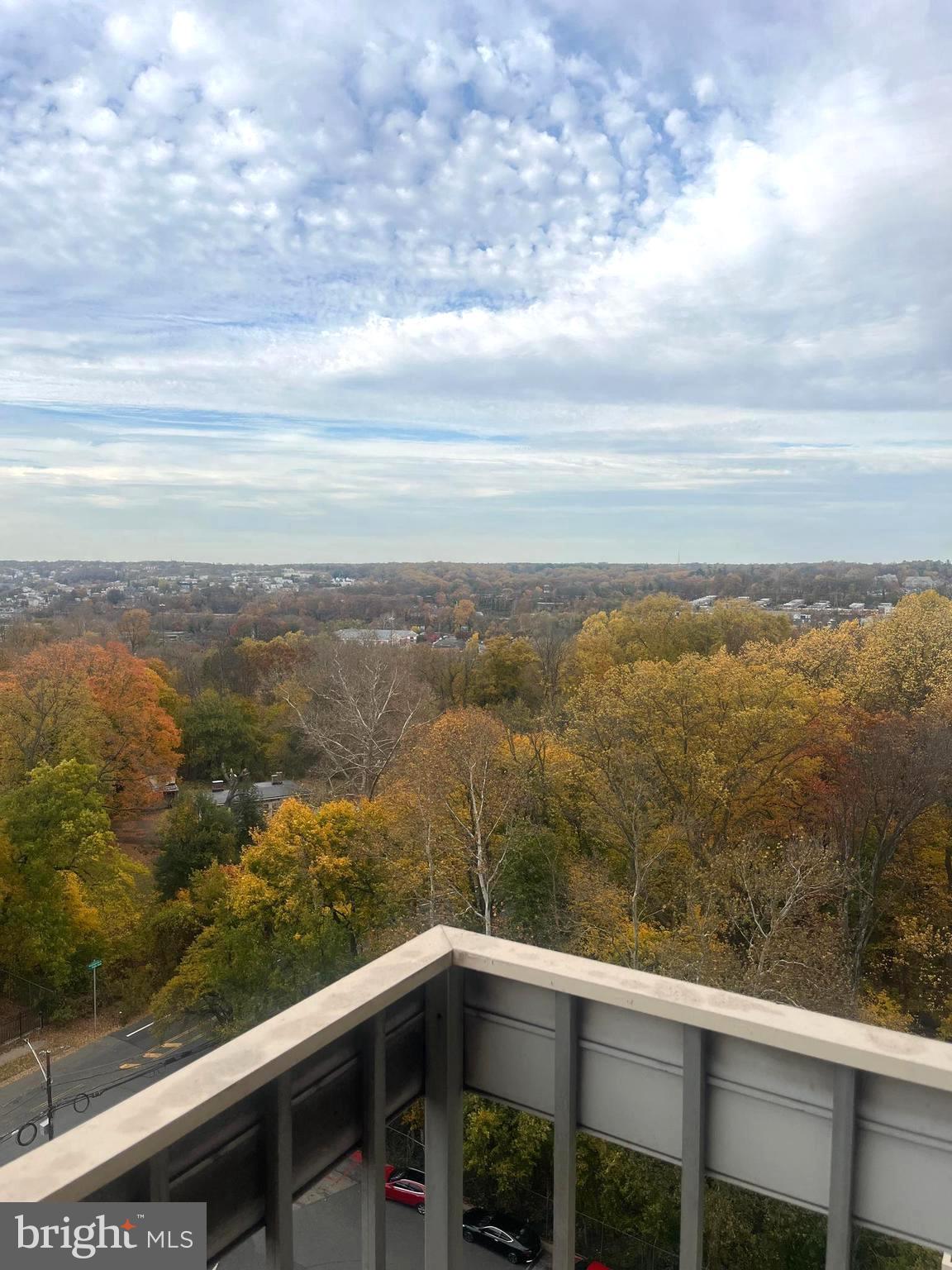 WYNNEFIELD - Residential