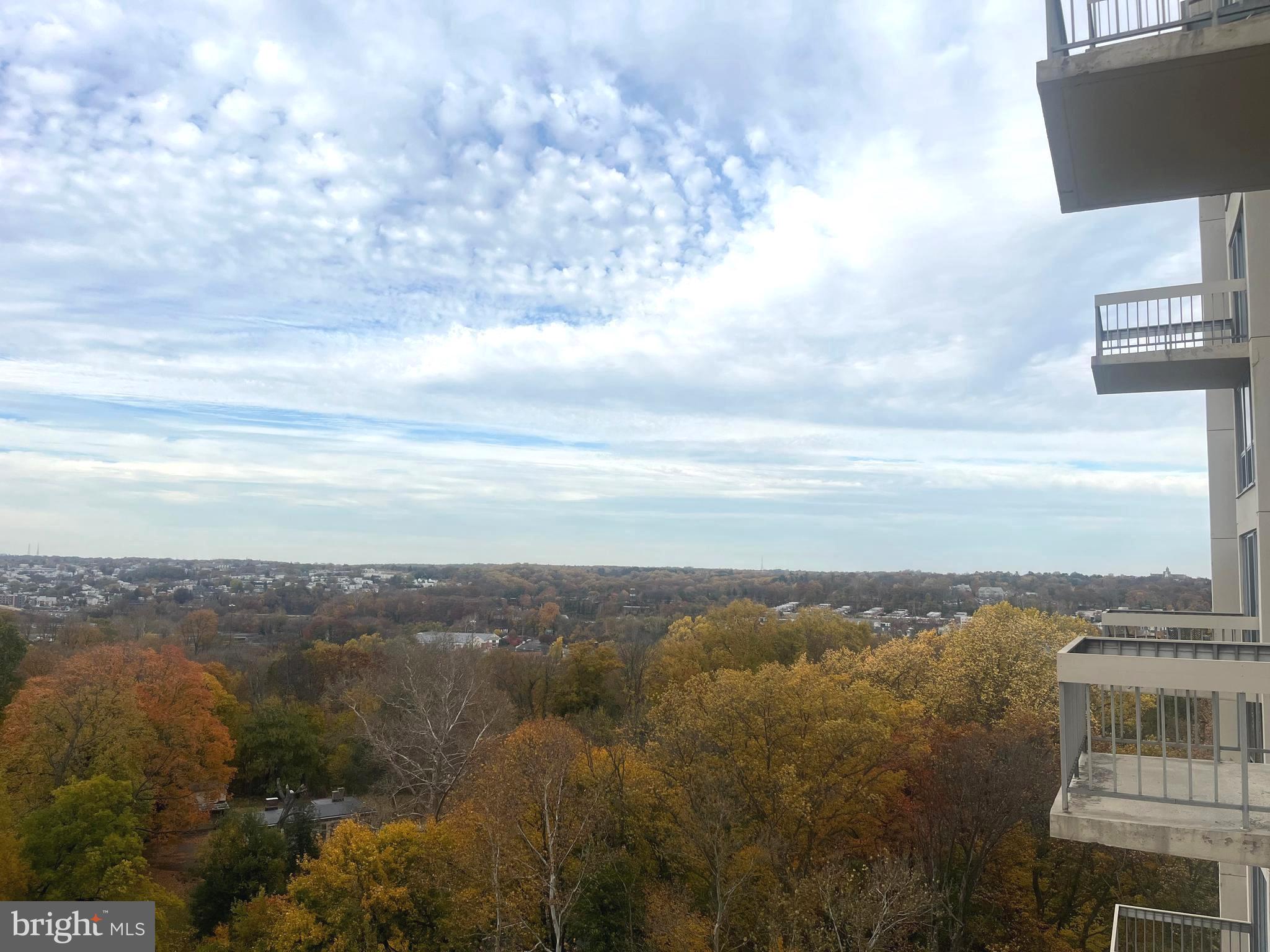 WYNNEFIELD - Residential