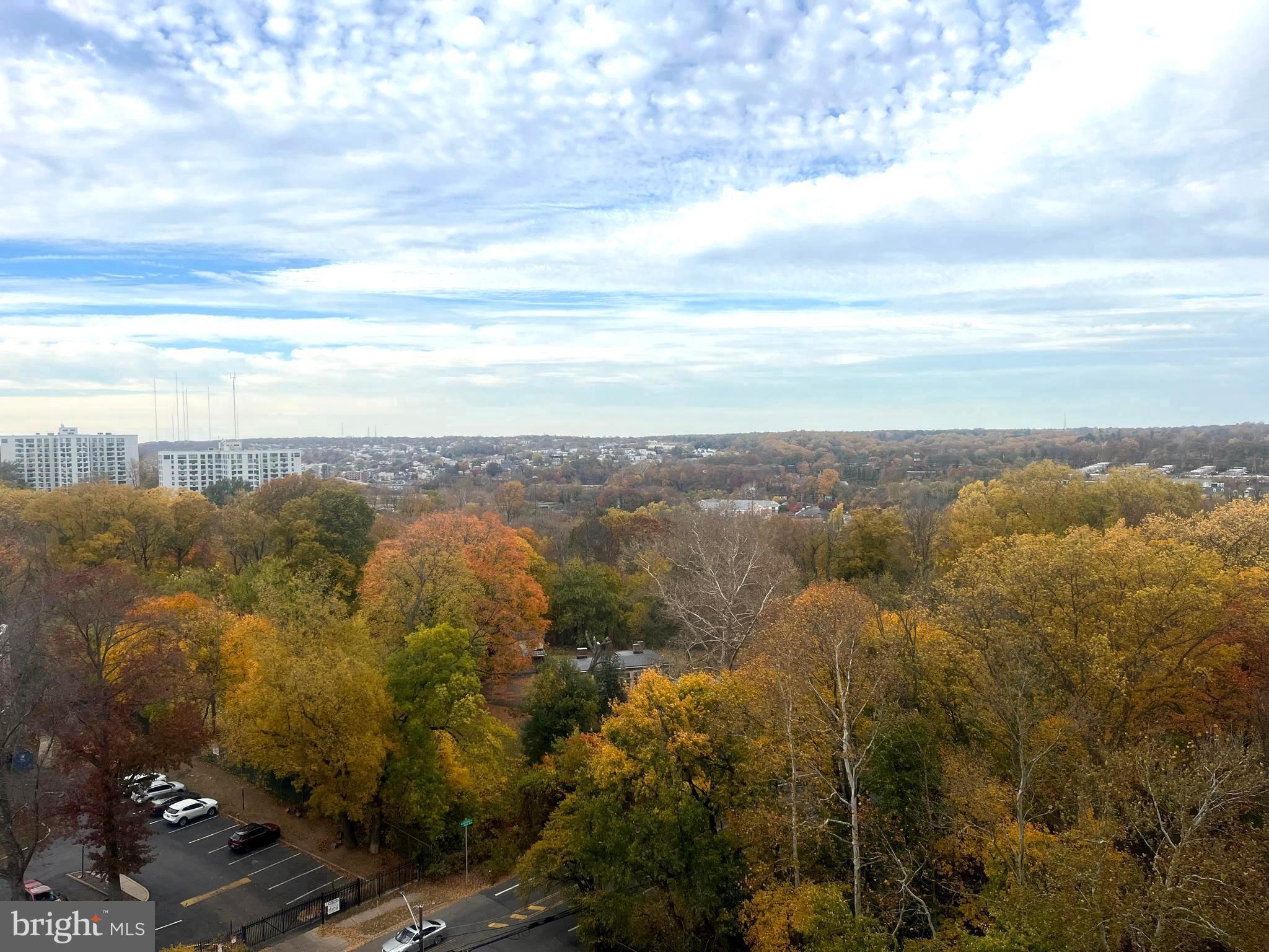 WYNNEFIELD - Residential
