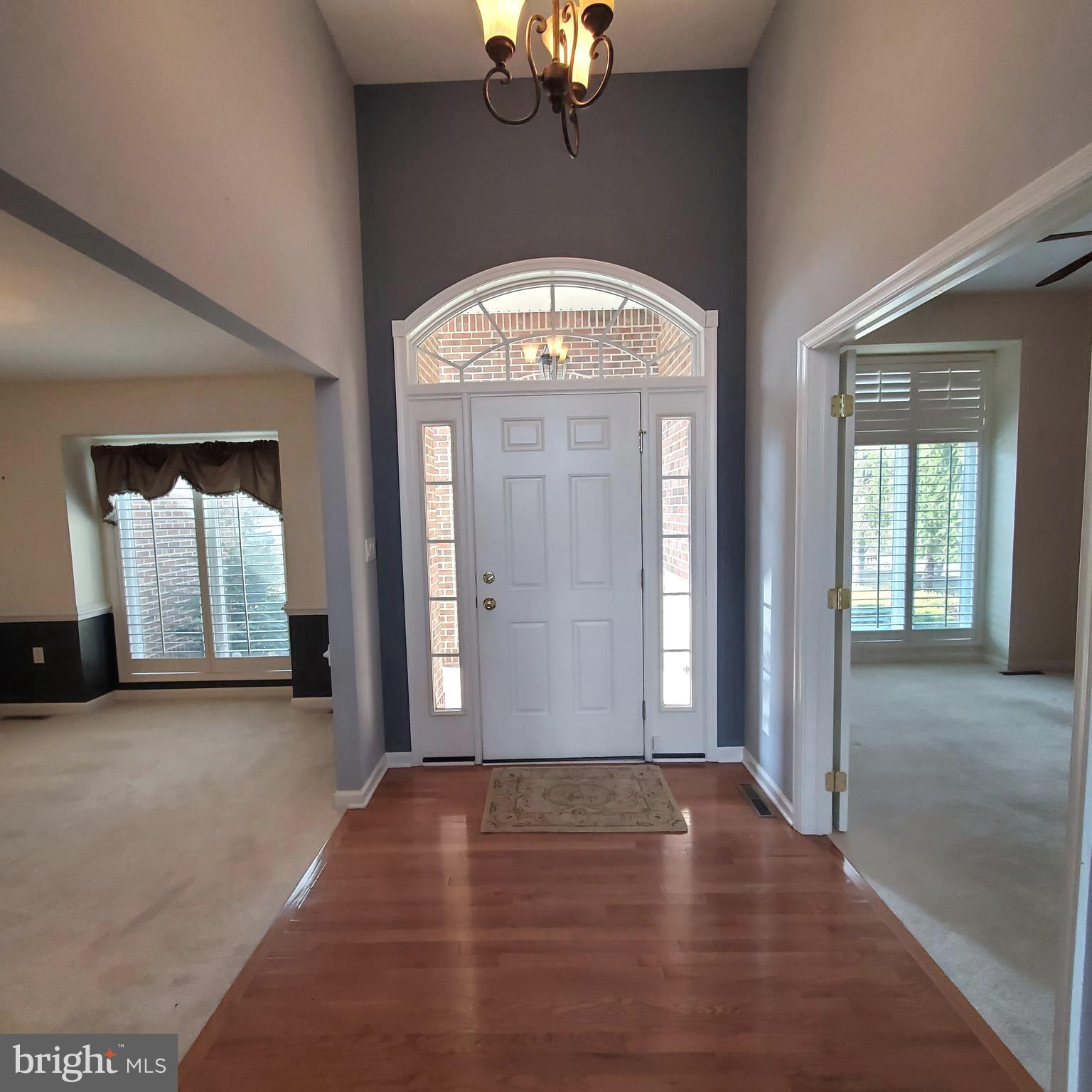 THE WOODS - Residential