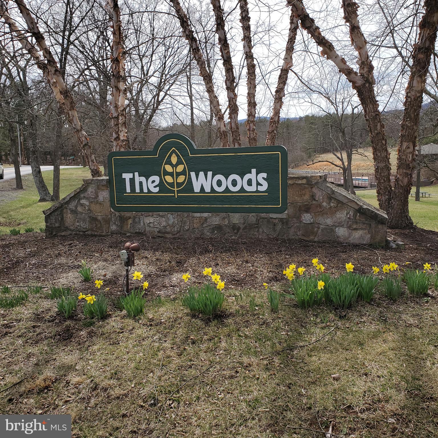 THE WOODS - Residential