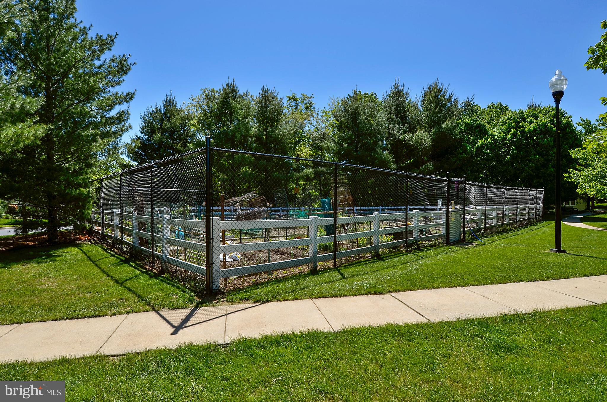 SPRING MILL CONDOMINIUM - Residential Lease