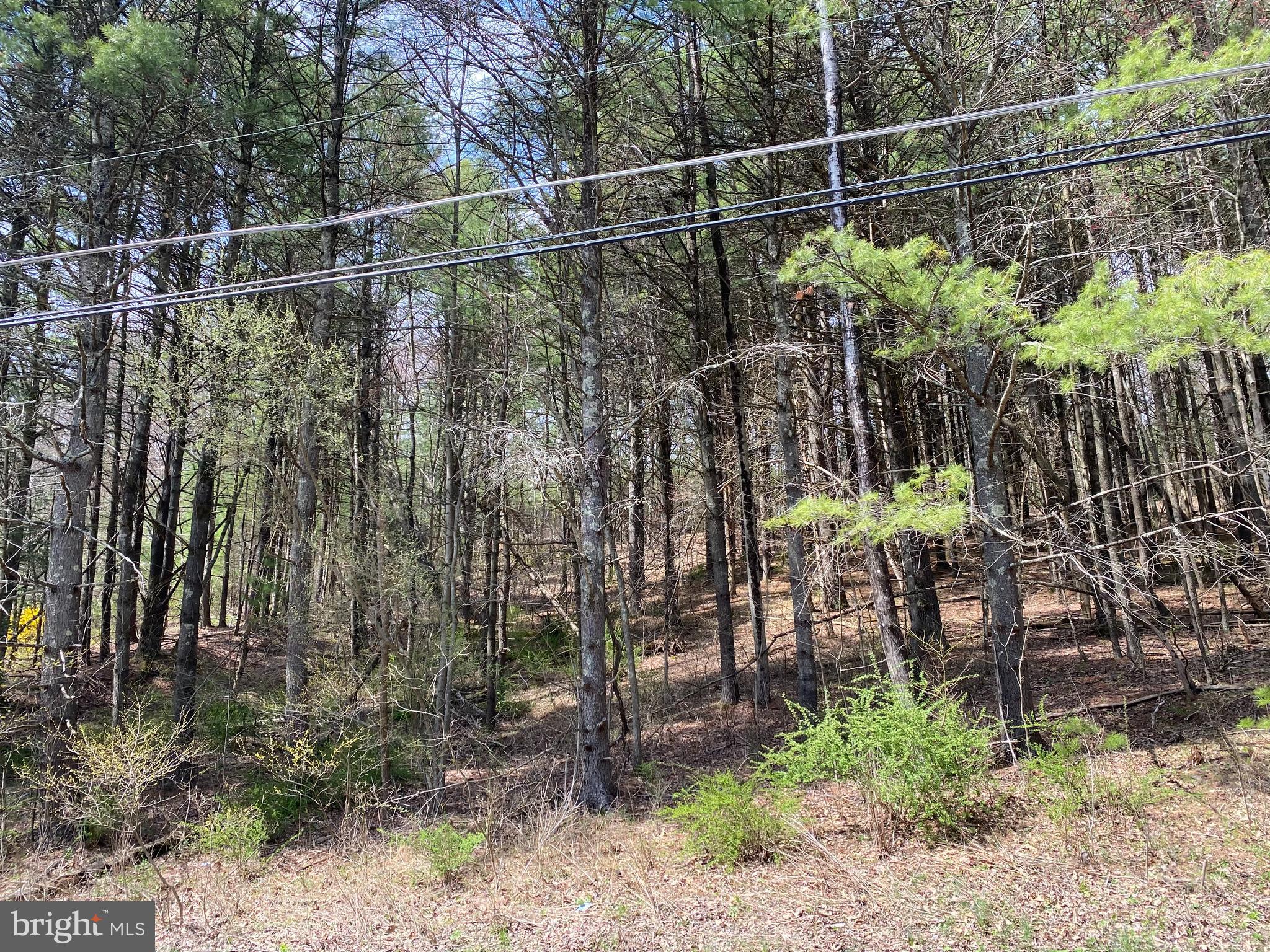 0 LOT # 2 HANEY ROAD