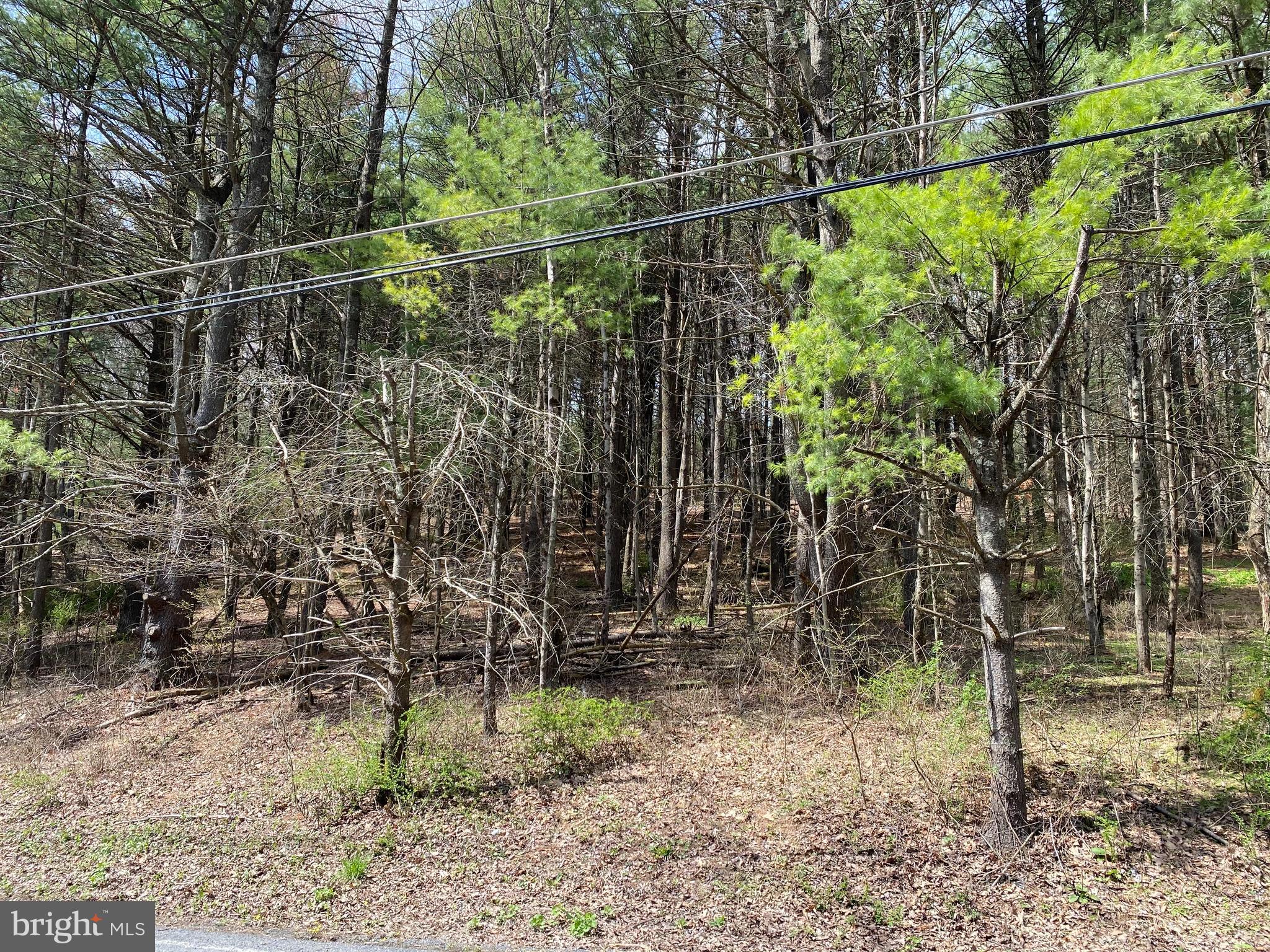 0 LOT # 2 HANEY ROAD