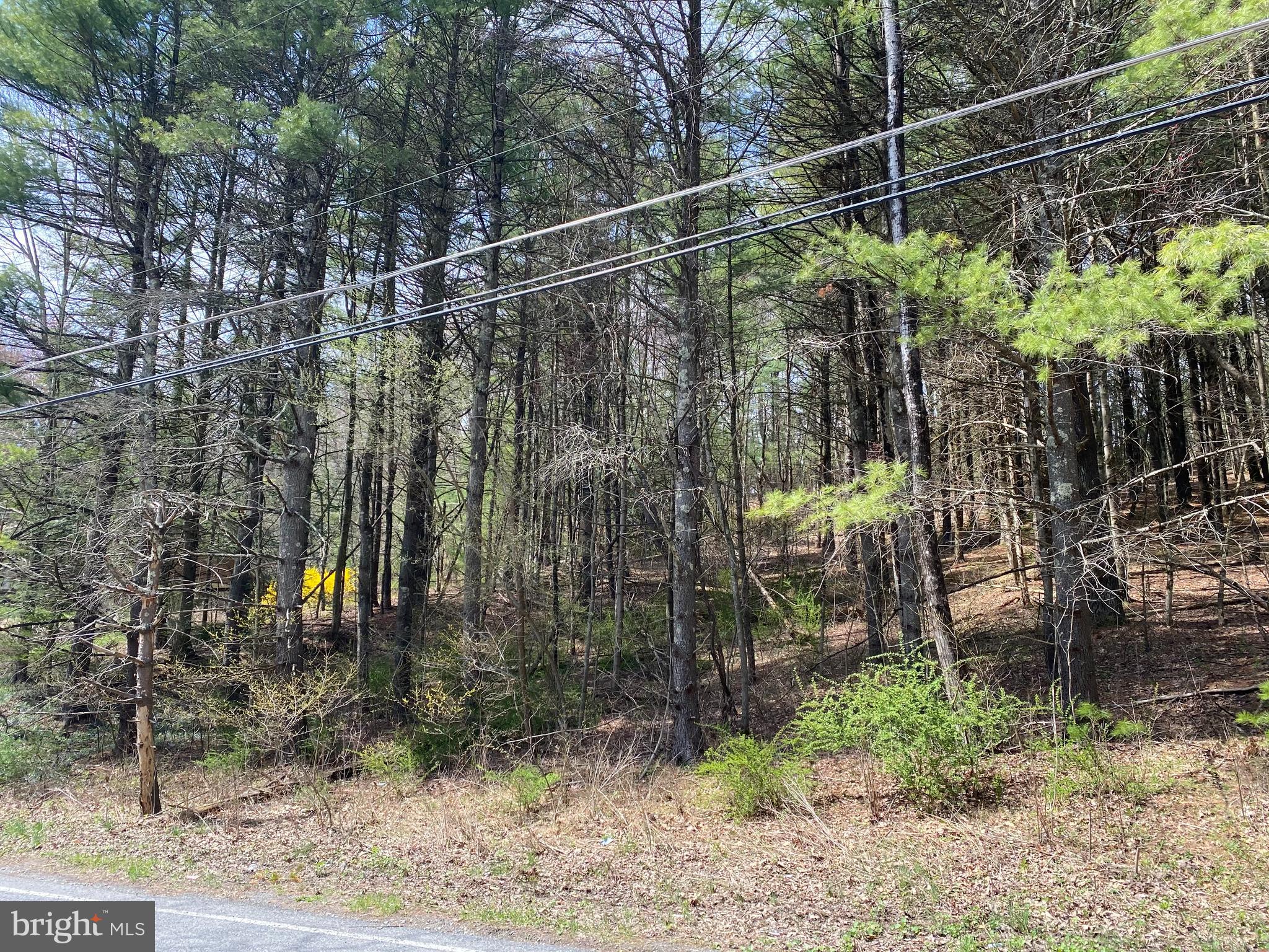 0 LOT # 2 HANEY ROAD