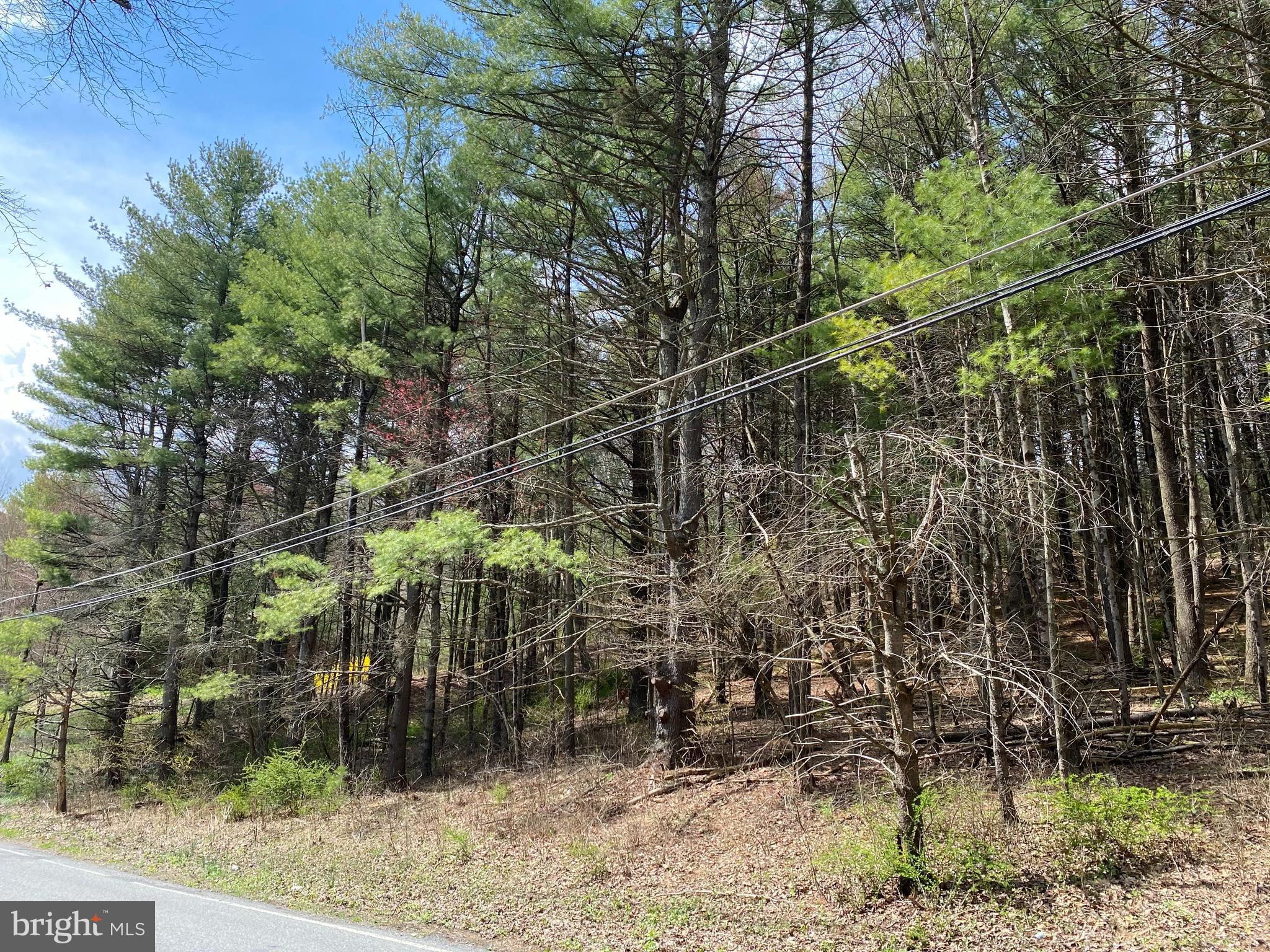 0 LOT # 2 HANEY ROAD