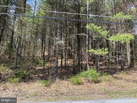 Vacant Land For Sale - Lot # 2 Haney Road<br/> Monroe County, KUNKLETOWN, PA 18058