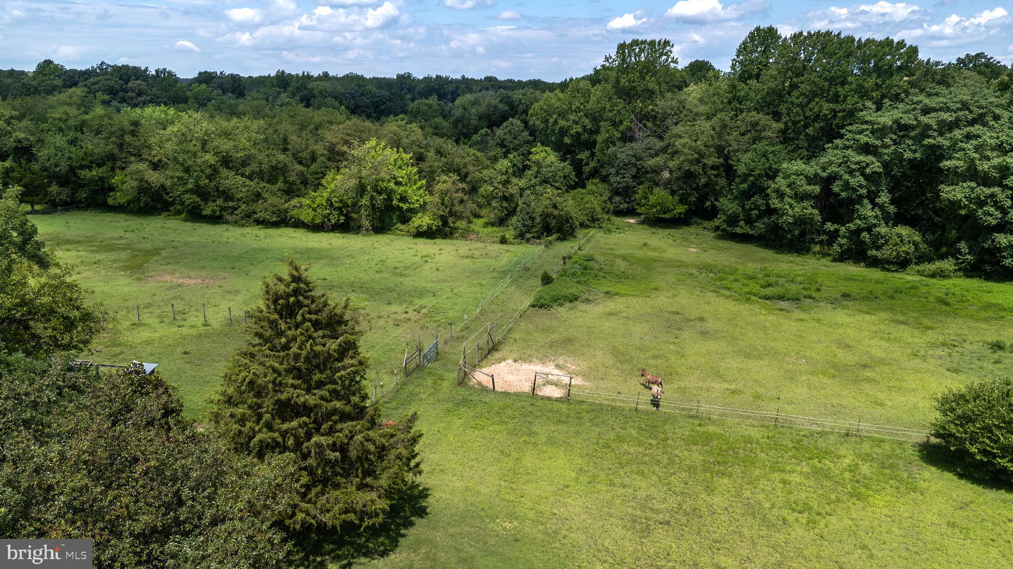 204 GROFF ROAD