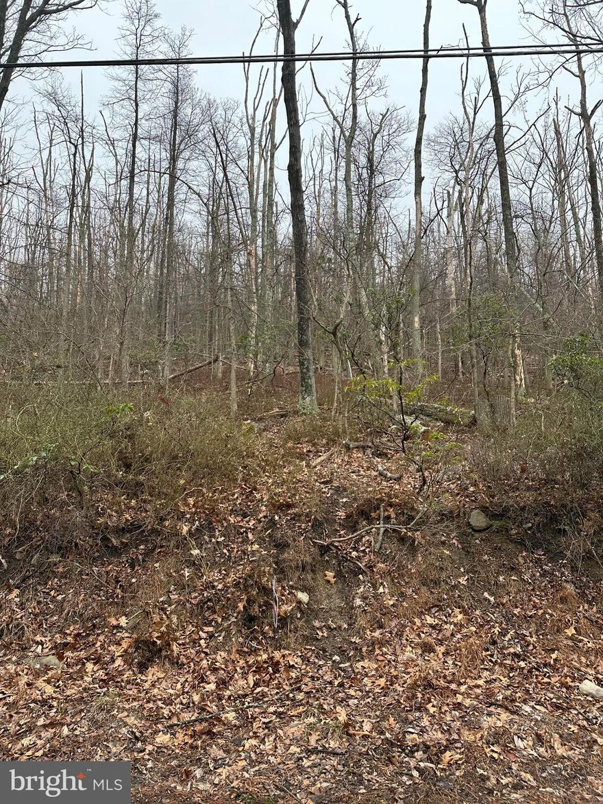 Recreation Lot for Sale in Shannondale subdivision which is fully wooded.