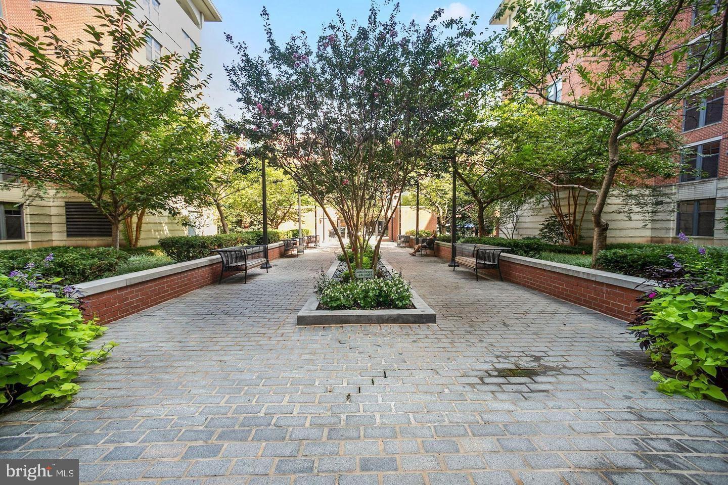 CLARENDON 1021 - Residential