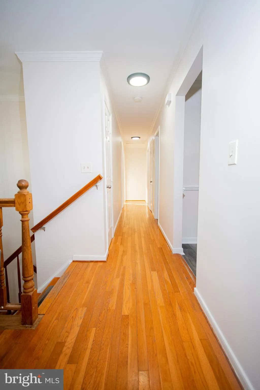 Stafford, Virginia 22556, United States, 5 Bedrooms Bedrooms, ,3 BathroomsBathrooms,Residential,Contingent,29877